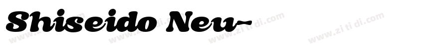 Shiseido Neu字体转换